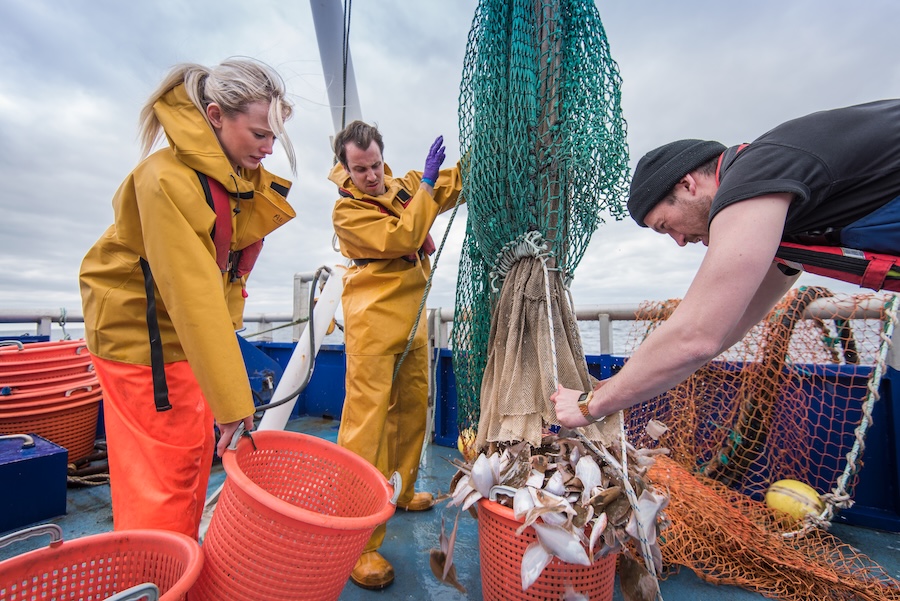 research scientists and fishermen bring in catch o 2026 01 05 22 54 57 utc
